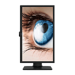 BenQ BL2483TM 24 VGA DVI DP Multimedia regulable en altura y cuidado ocular