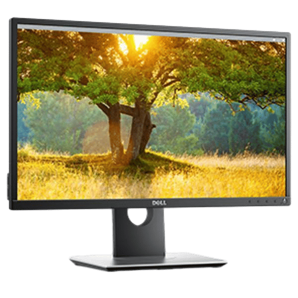 Dell 24 P2417H  Monitor