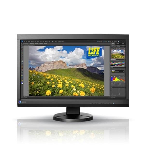 EIZO ColorEdge CS230CN 23  Monitor