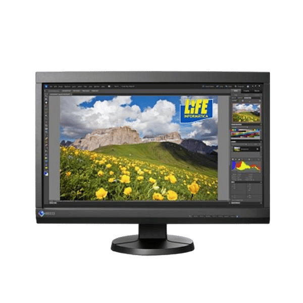 EIZO ColorEdge CS230CN 23  Monitor