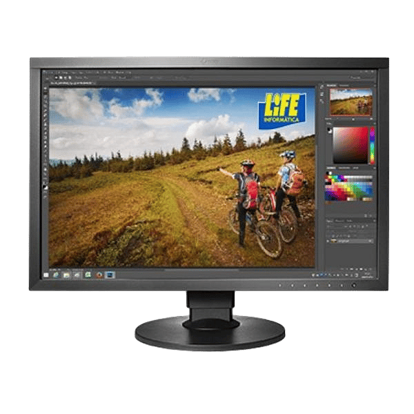 EIZO ColorEdge CS2420 24  Monitor