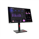 Lenovo T24i30 238 IPS FHD Pivotable DP  Monitor
