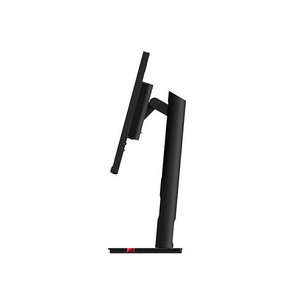 Lenovo T24i30 238 IPS FHD Pivotable DP  Monitor