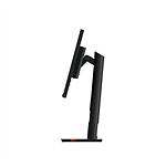Lenovo T24i30 238 IPS FHD Pivotable DP  Monitor
