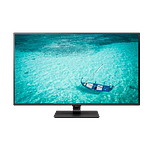 LG 43UD79B 43 4K IPS HDMI DP USBC   Monitor