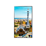 LG 32UD99W 315 UHD HDR HDMI DP  Monitor