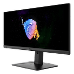 MSI Optix MAG301RF 295 IPS WFHD GSYNC 200HZ 1ms  Monitor
