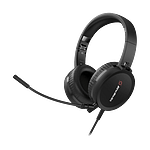 Avermedia BO317  Webcam PW313  Auricular AH313  Kit para videoconferencia Avermedia BO317  Webcam PW313  Auricular AH313  Kit para videoconferencia