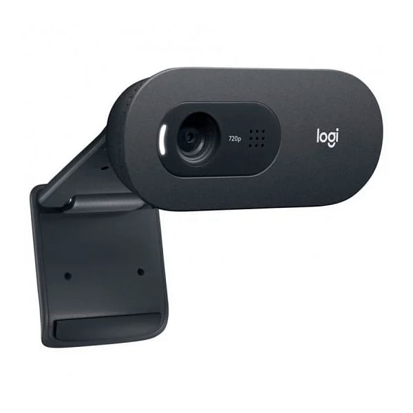 Logitech C505 HD  Webcam