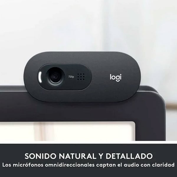 Logitech C505 HD  Webcam