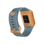 Fitbit Ionic Color Bronce  Pulsera de actividad