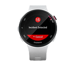 Garmin Forerunner 45S Blanco Smartwatch