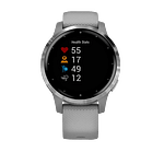 Garmin Vivoactive 4S GrisPlata  Smartwatch