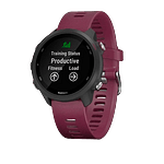 Garmin Forerunner 245 Burdeos Smartwatch Garmin Forerunner 245 Burdeos Smartwatch