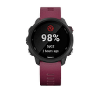 Garmin Forerunner 245 Burdeos Smartwatch Garmin Forerunner 245 Burdeos Smartwatch