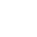 Destiny 2  Bungie