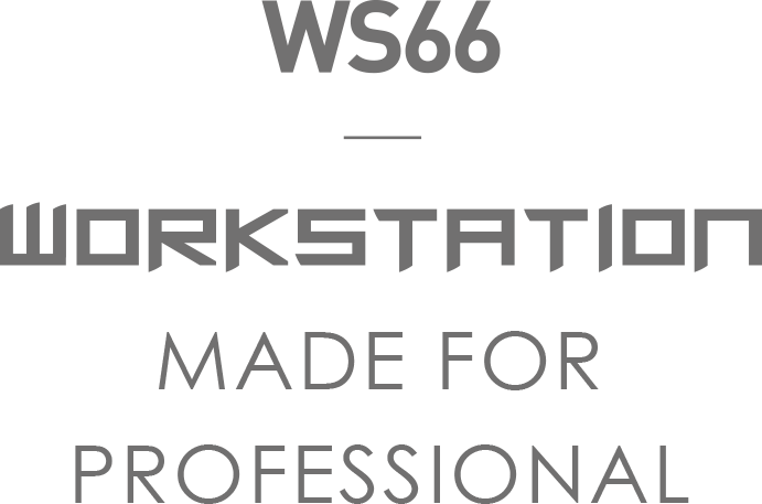 MSI WS66