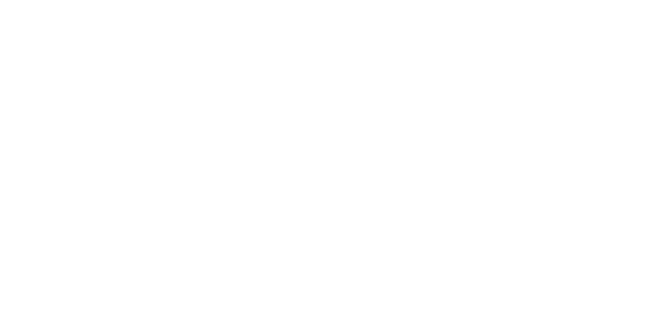 MAGNUS ONE