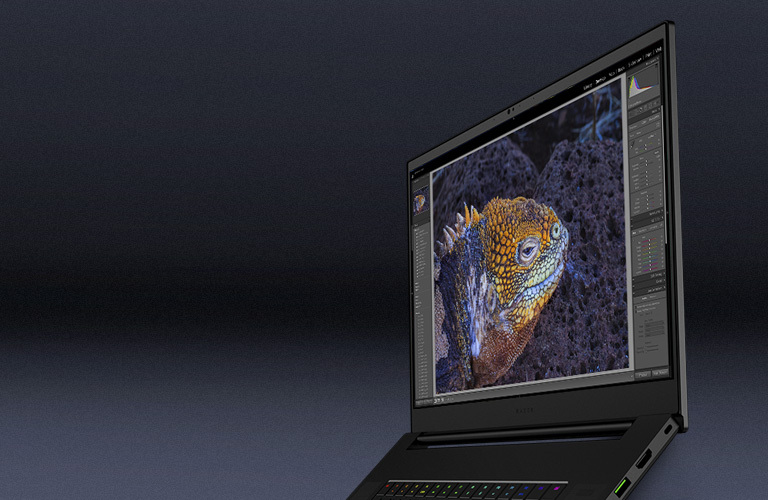 Razer Blade 17 i7 16GB 1TB 3070 W10 Razer Blade 17 i7 16GB 1TB 3070 W10