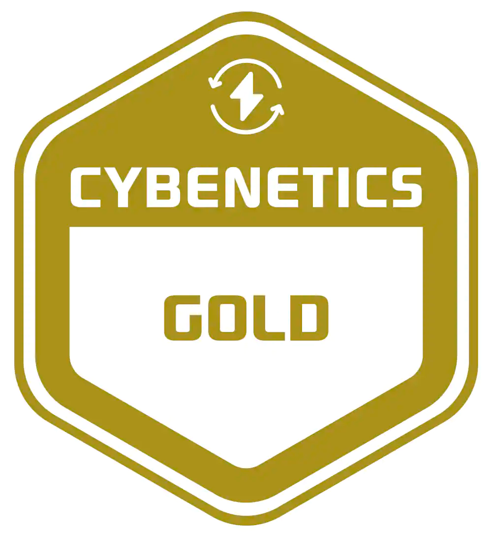 Certifado Cybernetics Gold Corsair RM1000e