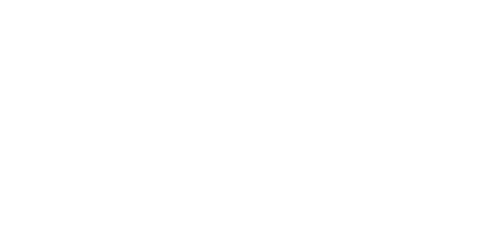 Logo 13ª generación
