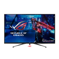 Asus XG438Q 43 4K 120Hz HDMI DP  Monitor