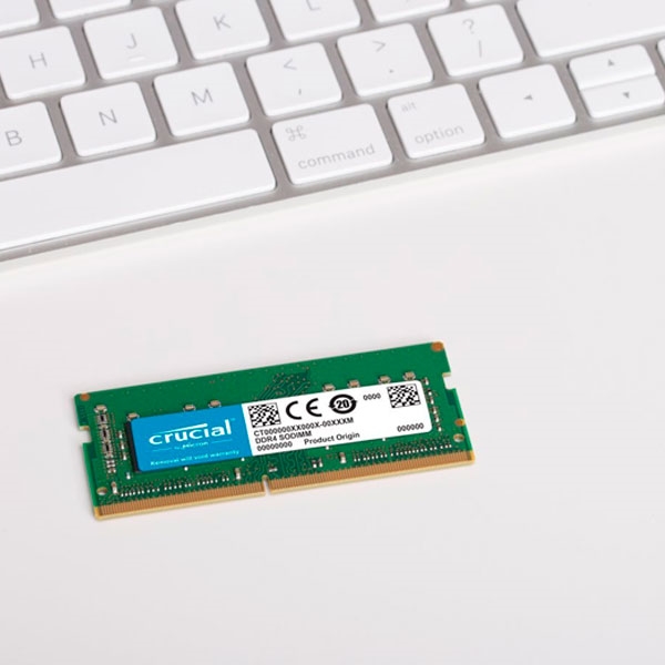 clásico alto foro Memoria RAM Crucial 8GB DDR4 2400 CL17 SODIMM MAC | LIFE Informàtica