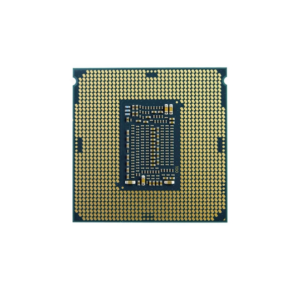 Intel Pentium Gold G5620 400GHz  Procesador
