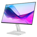 Lenovo L24i-4A Monitor