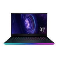 MSI GE76 Raider 10UH061ES Intel i7 10870H 16GB RAM 1TB SSD RTX 3080 173 300Hz Windows 10  Portátil