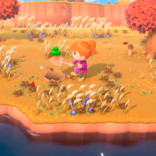 Nintendo Switch Animal Crossing New Horizon  Videojuego