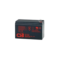 Riello Bateria CSB1272 71Ah 12v  Accesorio SAI