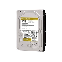 WD Gold 4TB 256MB 3.5