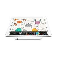 Apple Pencil  Accesorio