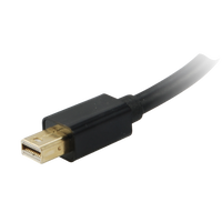 Equip MiniDP Macho a DVI Hembra  Adaptador