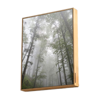 Energy Sistem Frame Speaker Forest 50W  Altavoz Bluetooth