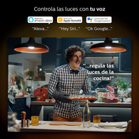 Philips Hue WA LRK 95W A19 E27 Regulador  Bombilla