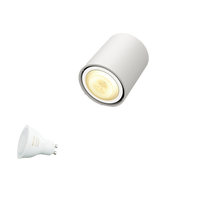 Philips Runner Hue Foco Blanco 1x55W  Iluminación