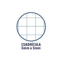 Cuaderno Oxford Touch EuropeanBook 1 A4 80h 90gr Morado Cuaderno Oxford Touch EuropeanBook 1 A4 80h 90gr Morado