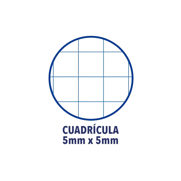 Cuaderno Oxford Touch EuropeanBook 1 A4 80h 90gr Azul Past Cuaderno Oxford Touch EuropeanBook 1 A4 80h 90gr Azul Past