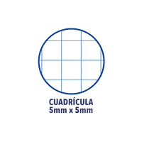 Cuaderno Oxford Touch EuropeanBook 1 A4 80h 90gr Azul Past