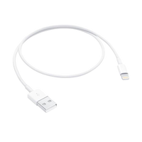Apple Lightning to USB Cable 05m