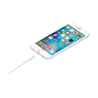 Apple Lightning to USB Cable 05m