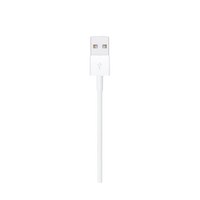 Apple Lightning to USB Cable 05m
