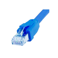 Equip latiguillo Categoría 81 05 Metros Azul  Cable de red