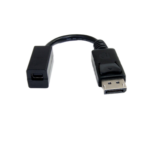 StarTechcom DisplayPort a Mini DisplayPort  Cable