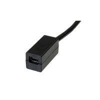 StarTechcom DisplayPort a Mini DisplayPort  Cable