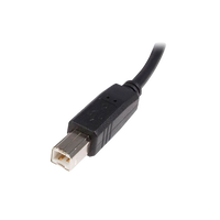 StarTechcom Cable USB A a B 2m  Cable