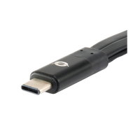 Conceptronic HUBBIES01B USBC a 2 USB 301 USB 20 Bk  Hub