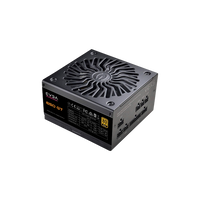 EVGA 650 GT Supernova 650W 80 Gold  FA
